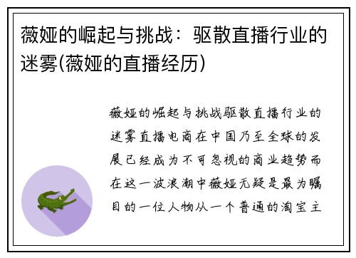 薇娅的崛起与挑战：驱散直播行业的迷雾(薇娅的直播经历)