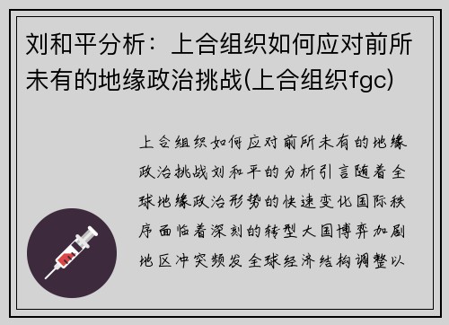 刘和平分析：上合组织如何应对前所未有的地缘政治挑战(上合组织fgc)